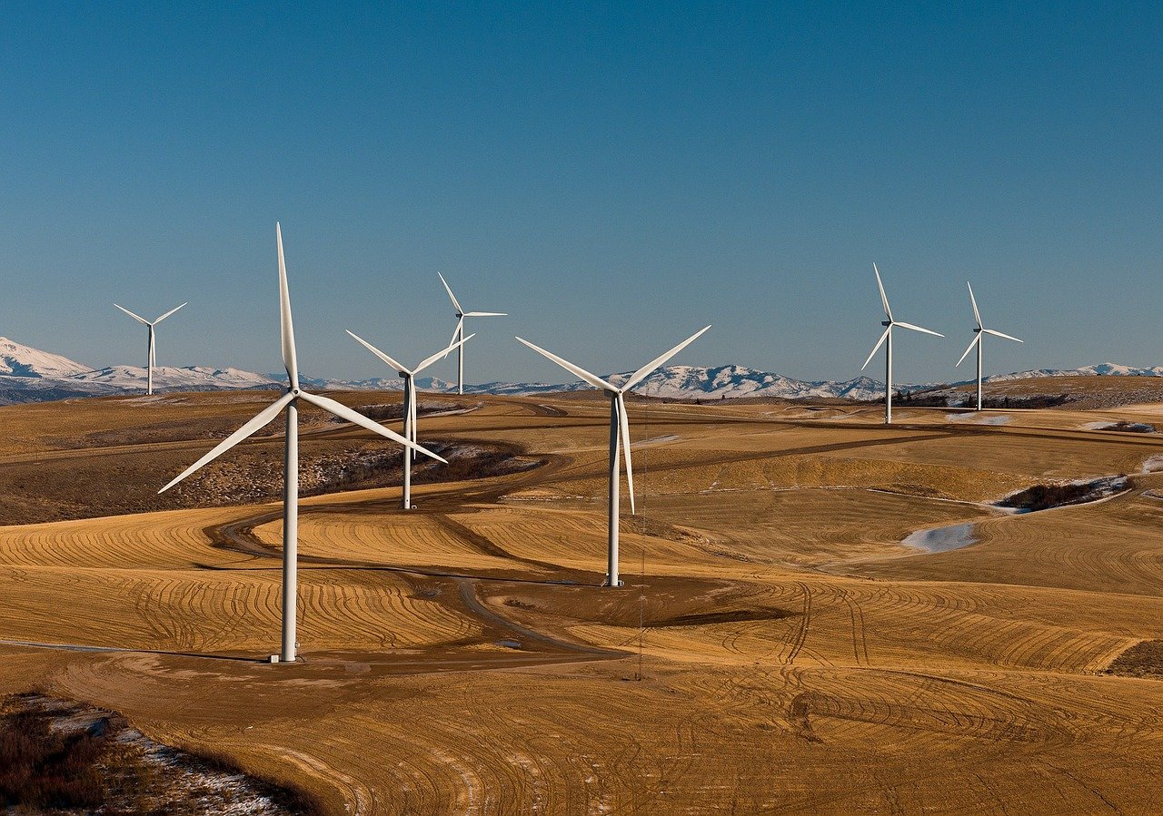 wind farm